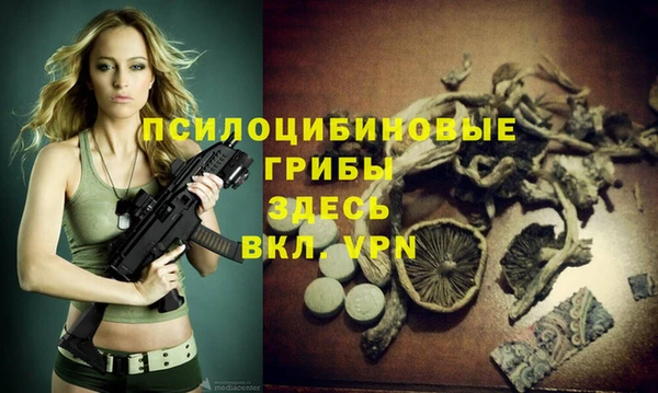 не бодяженный Дмитров