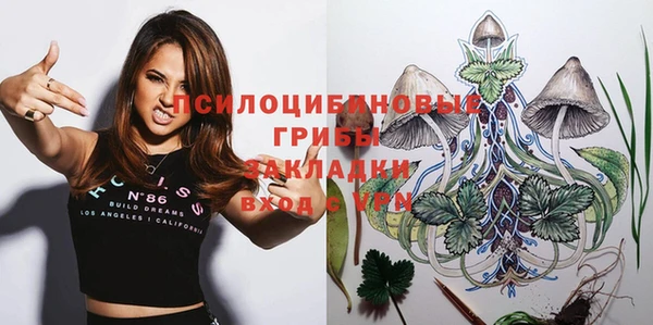 шишки Дмитровск
