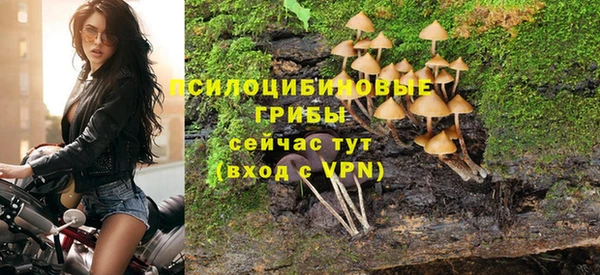 стафф Елабуга