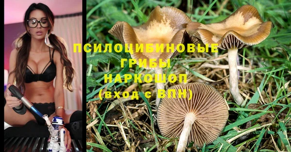 не бодяженный Дмитров