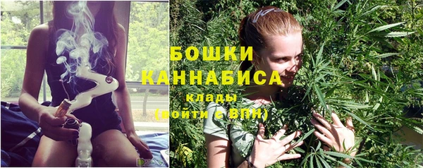 не бодяженный Дмитров
