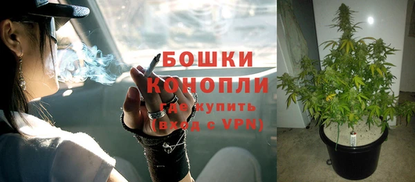 шишки Дмитровск