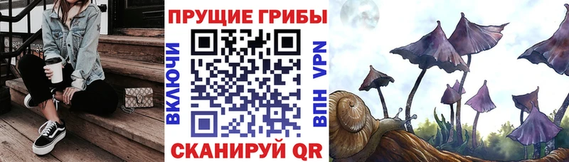 Псилоцибиновые грибы Psilocybine cubensis  Купить закладки  Кола 